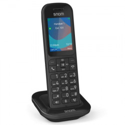 Pack DECT IP M253 station M250 + combiné M53 SNOM | DSI France
