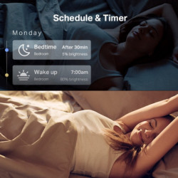 tplink Pack de 2 ampoules connectées WiFi multicolores E27 - Vue 5
